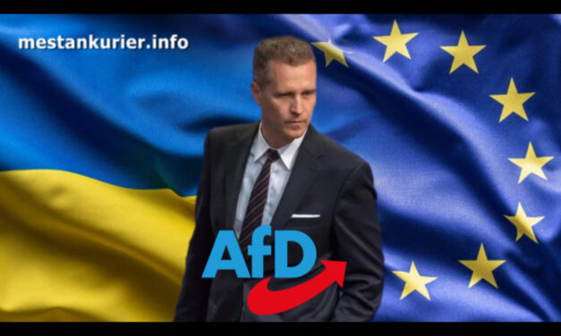 PETR BYSTRON (AfD): Die Ukraine erfüllt nicht die Kriterien für einen EU-Beitritt!